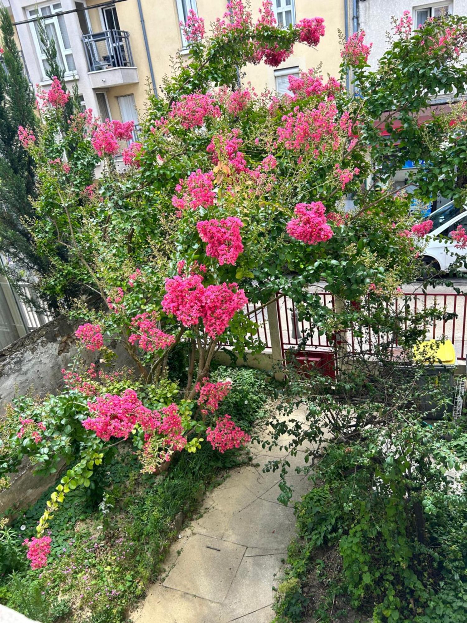 F3 Au Grenier D'Une Maison Massy  Εξωτερικό φωτογραφία