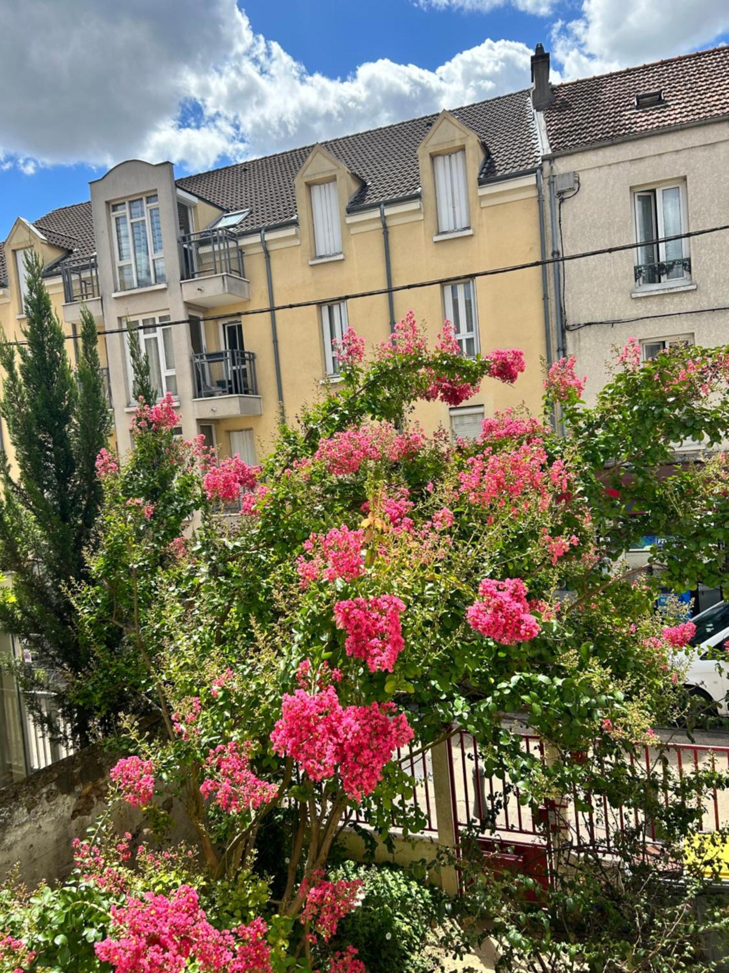 F3 Au Grenier D'Une Maison Massy  Εξωτερικό φωτογραφία